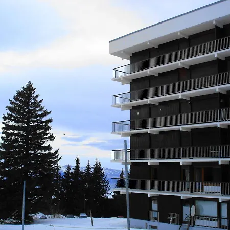 Studio Chamrousse, 2 Pieces, 4 Personnes - Fr-1-549-27